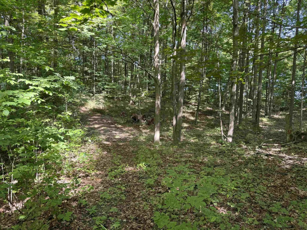 S Garfield Road East Bay Township, MI 49696