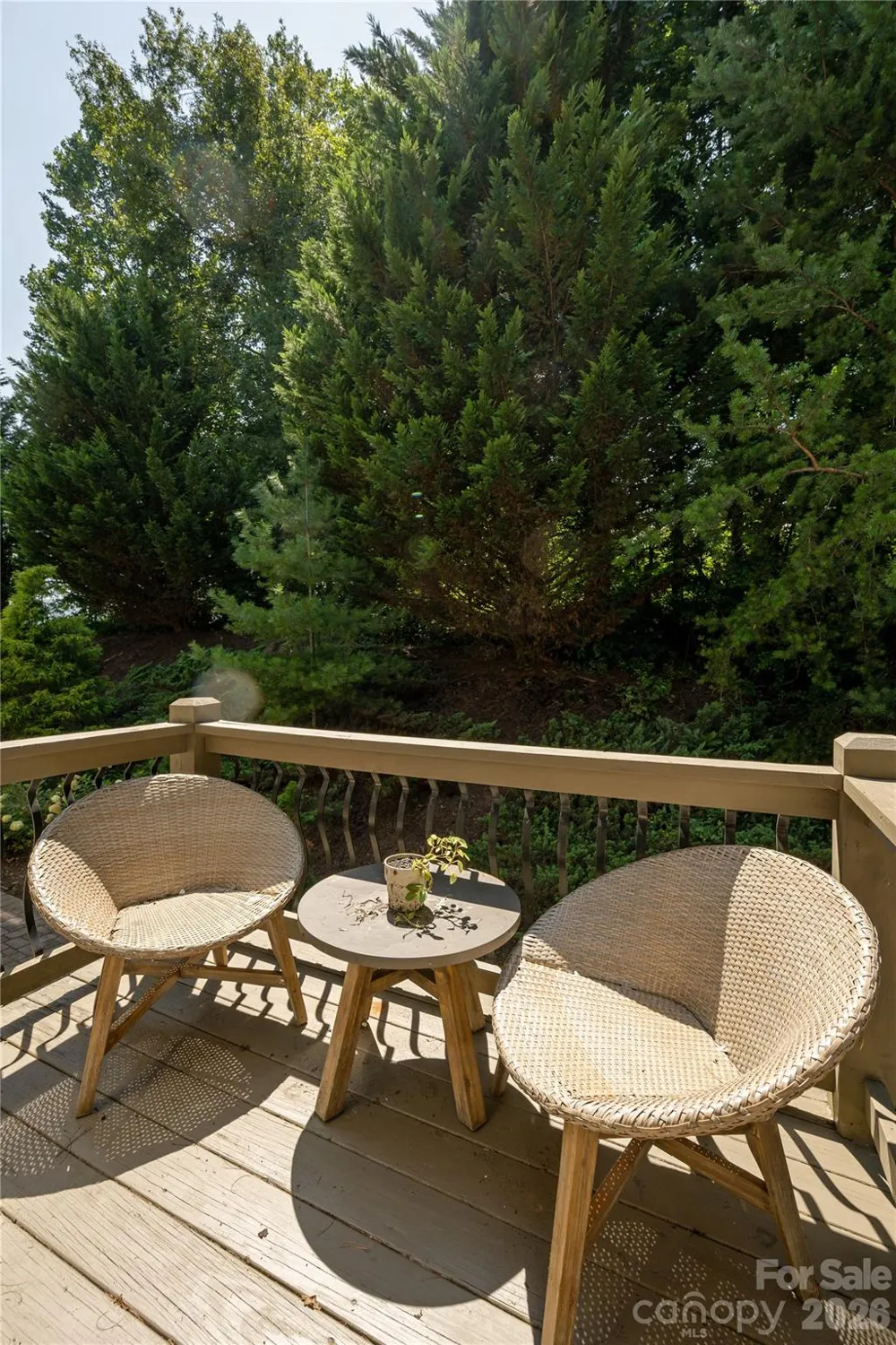 38 Cane Brook Drive Leicester, NC 28748