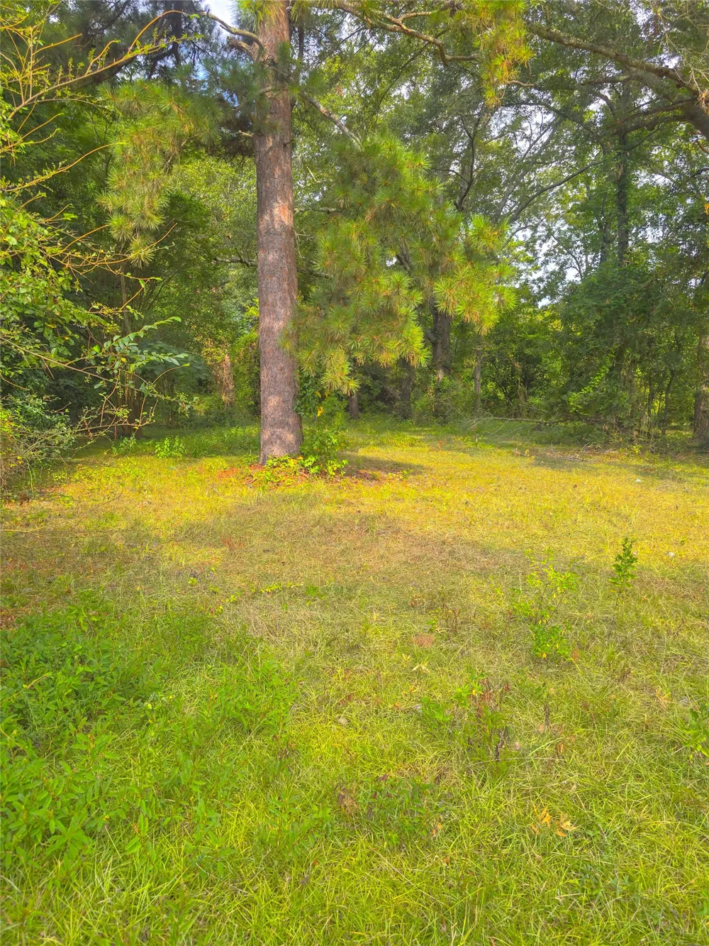 1109 Sibley Road Minden, LA 71055