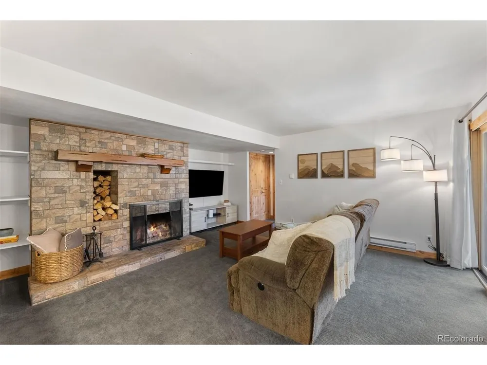 423 Wild Irishman Road #13204 Dillon, CO 80435