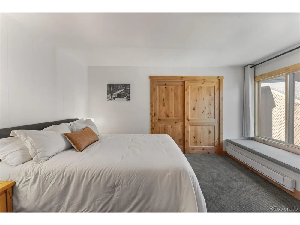 423 Wild Irishman Road #13204 Dillon, CO 80435