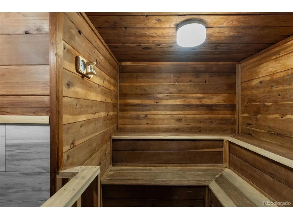 423 Wild Irishman Road #13204 Dillon, CO 80435