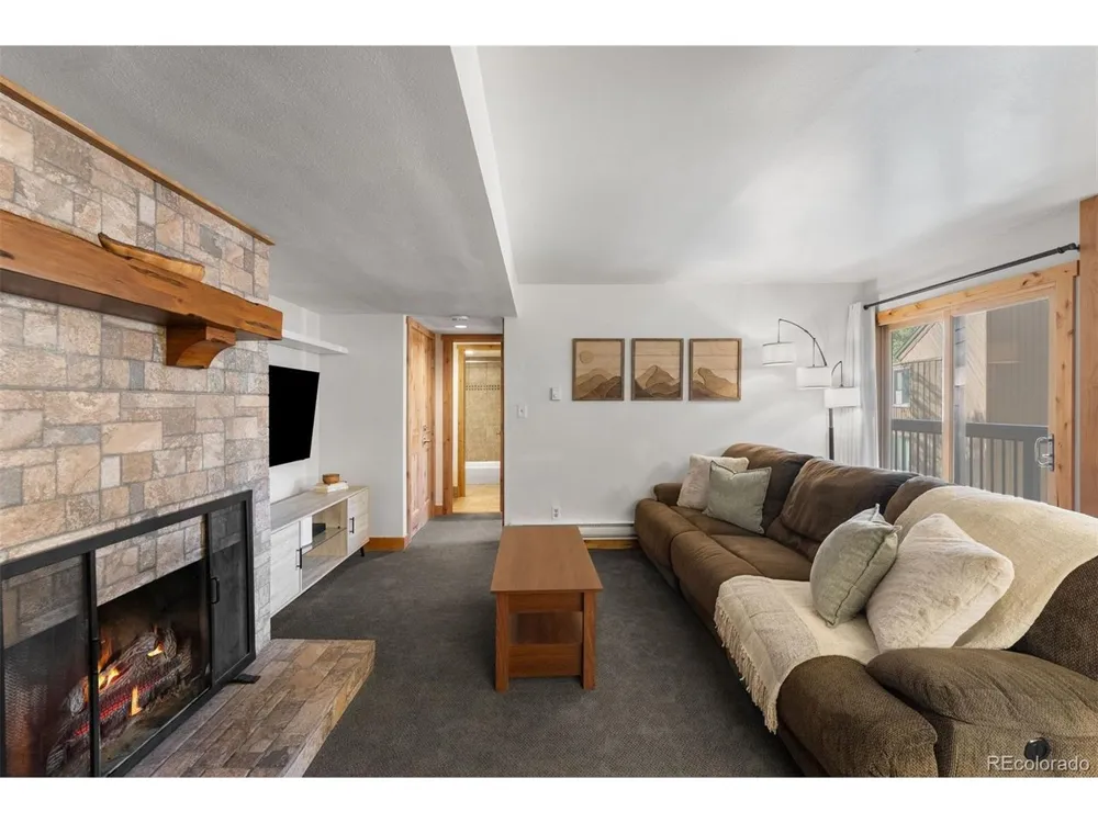 423 Wild Irishman Road #13204 Dillon, CO 80435