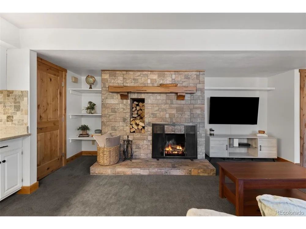 423 Wild Irishman Road #13204 Dillon, CO 80435