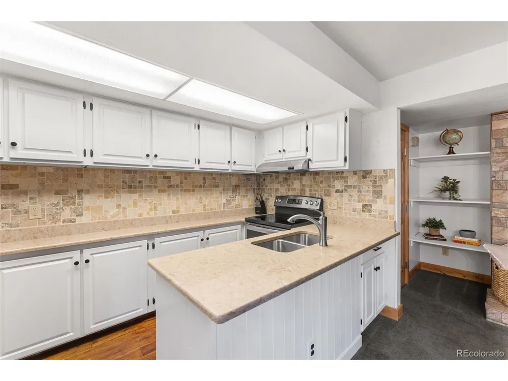 423 Wild Irishman Road #13204 Dillon, CO 80435