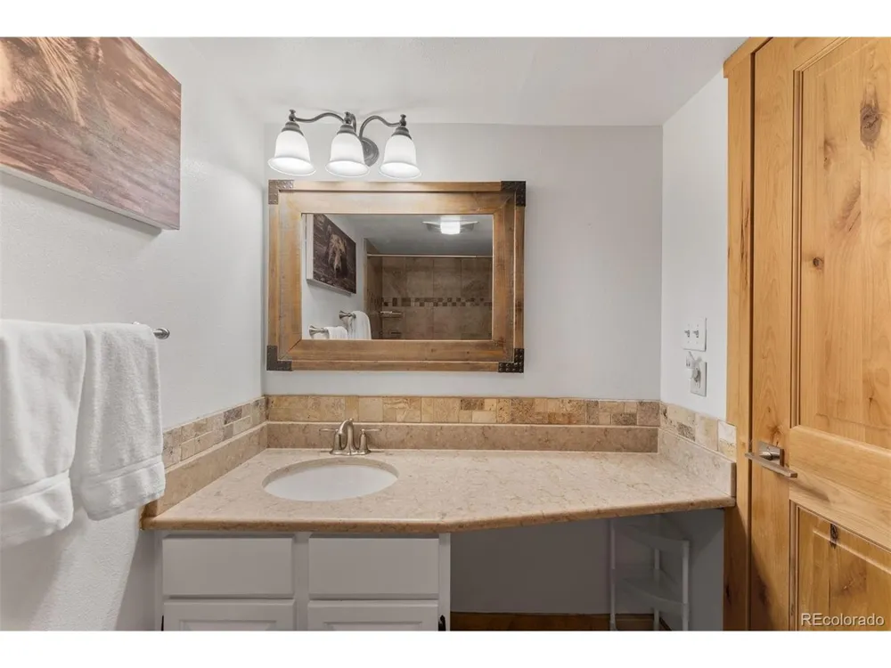 423 Wild Irishman Road #13204 Dillon, CO 80435