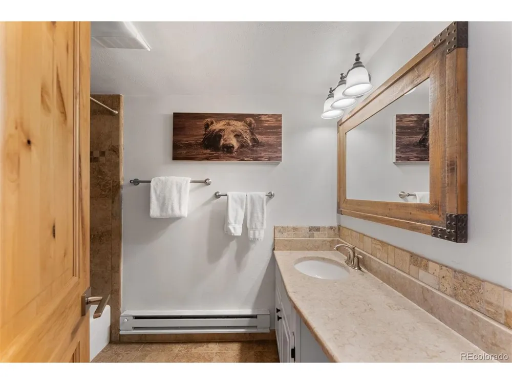 423 Wild Irishman Road #13204 Dillon, CO 80435