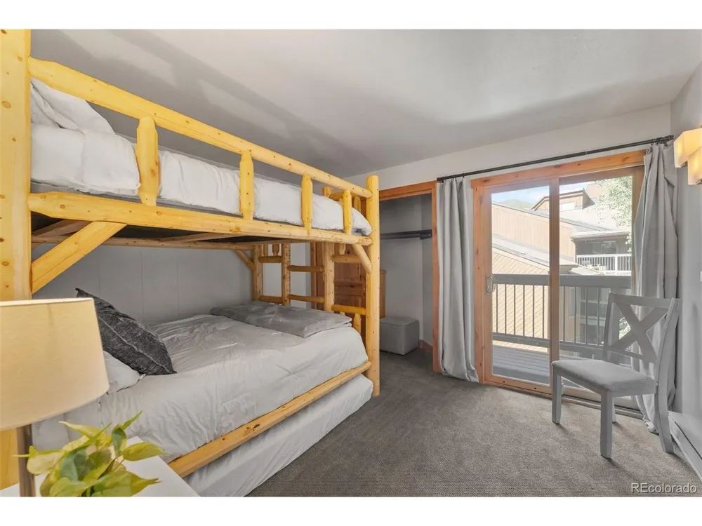 423 Wild Irishman Road #13204 Dillon, CO 80435