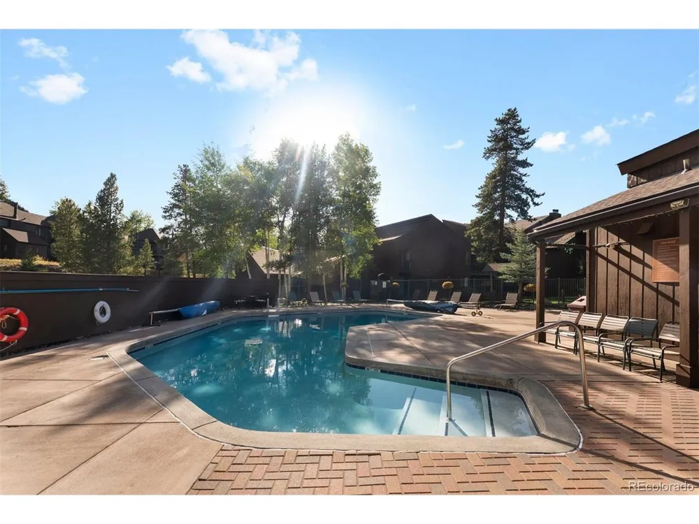 423 Wild Irishman Road #13204 Dillon, CO 80435