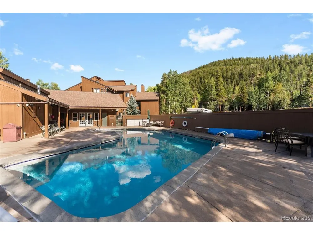 423 Wild Irishman Road #13204 Dillon, CO 80435
