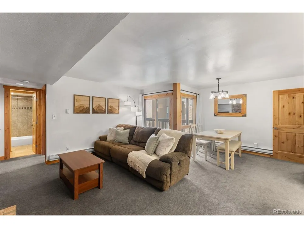 423 Wild Irishman Road #13204 Dillon, CO 80435