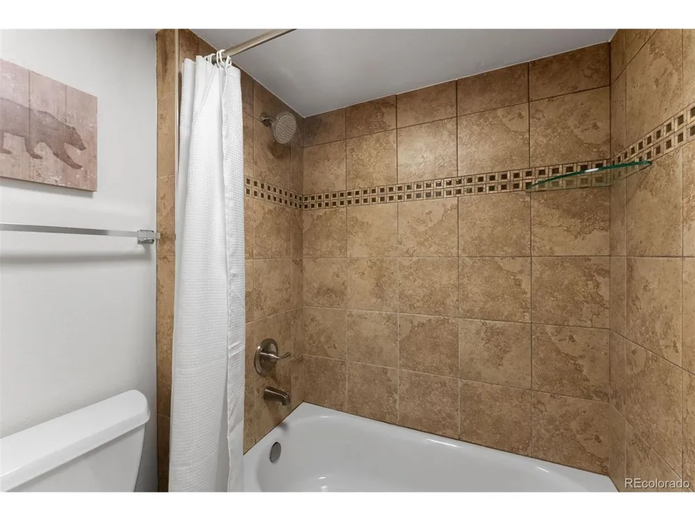 423 Wild Irishman Road #13204 Dillon, CO 80435