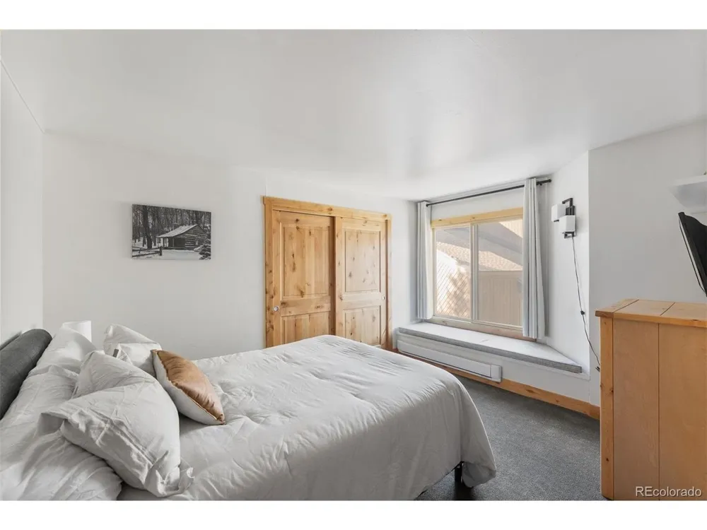 423 Wild Irishman Road #13204 Dillon, CO 80435
