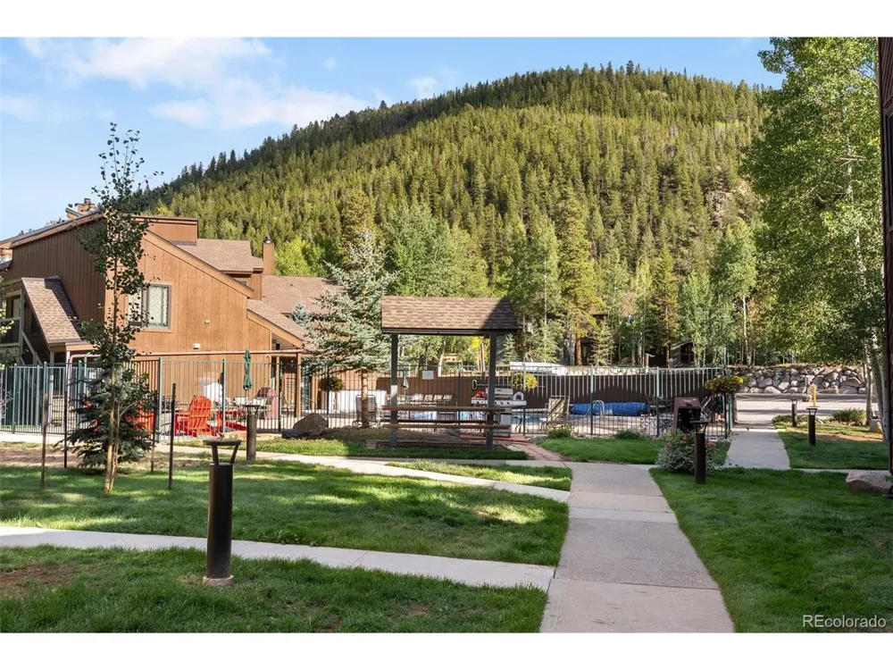 423 Wild Irishman Road #13204 Dillon, CO 80435