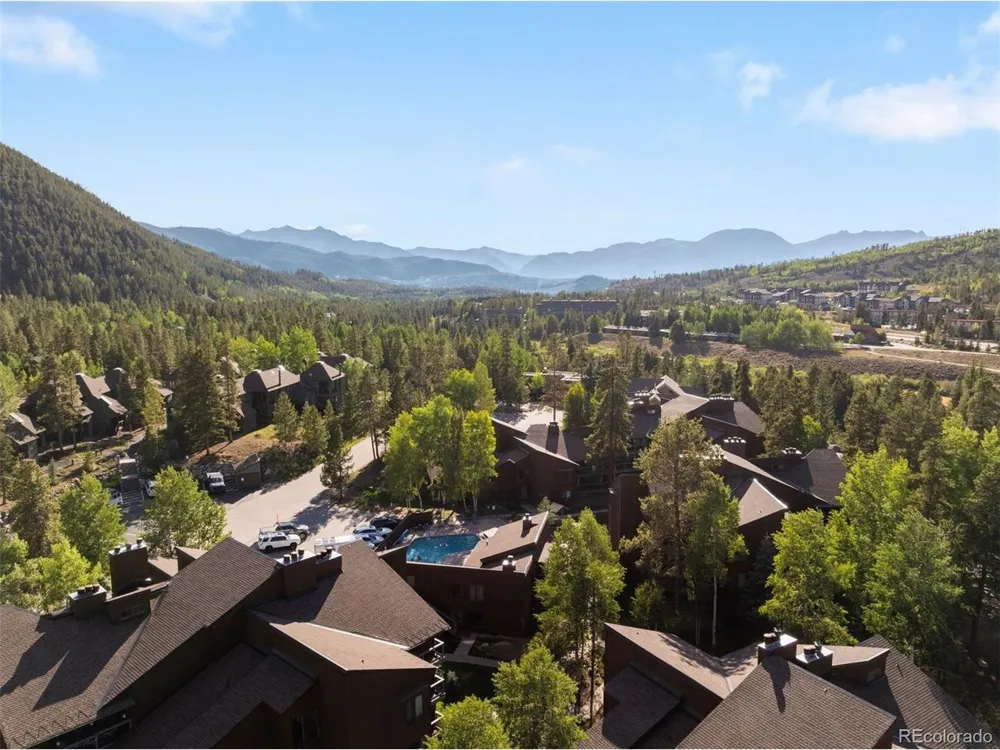 423 Wild Irishman Road #13204 Dillon, CO 80435