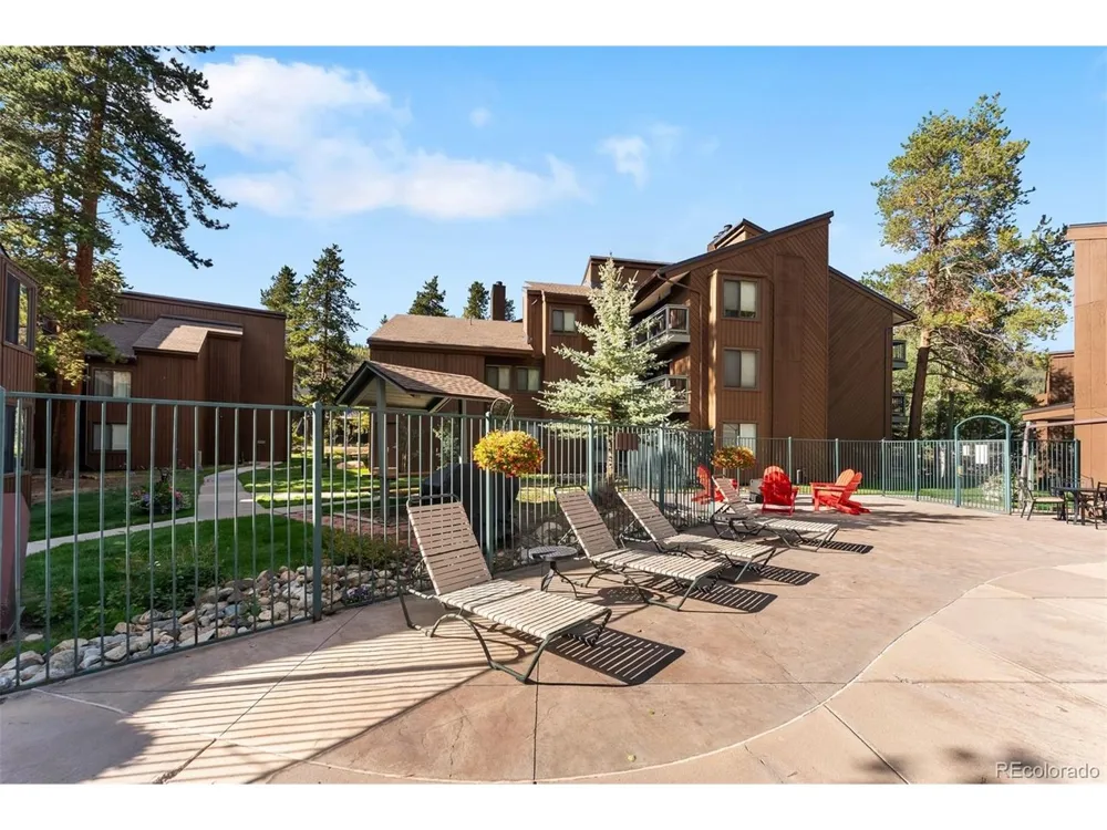 423 Wild Irishman Road #13204 Dillon, CO 80435