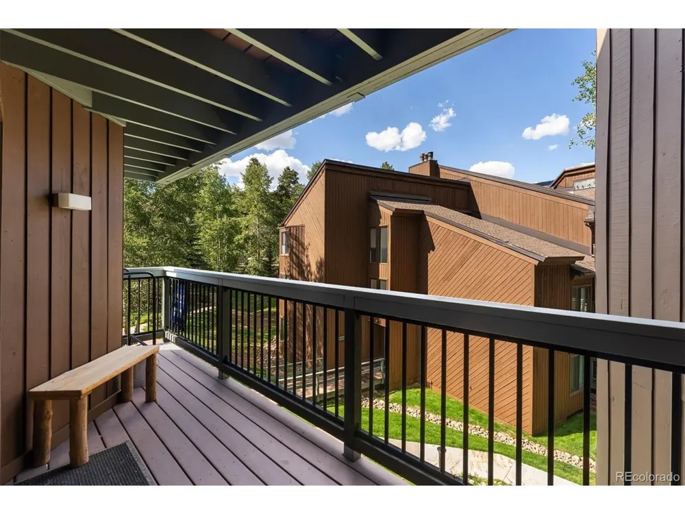 423 Wild Irishman Road #13204 Dillon, CO 80435