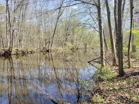 5295 Watervliet Road