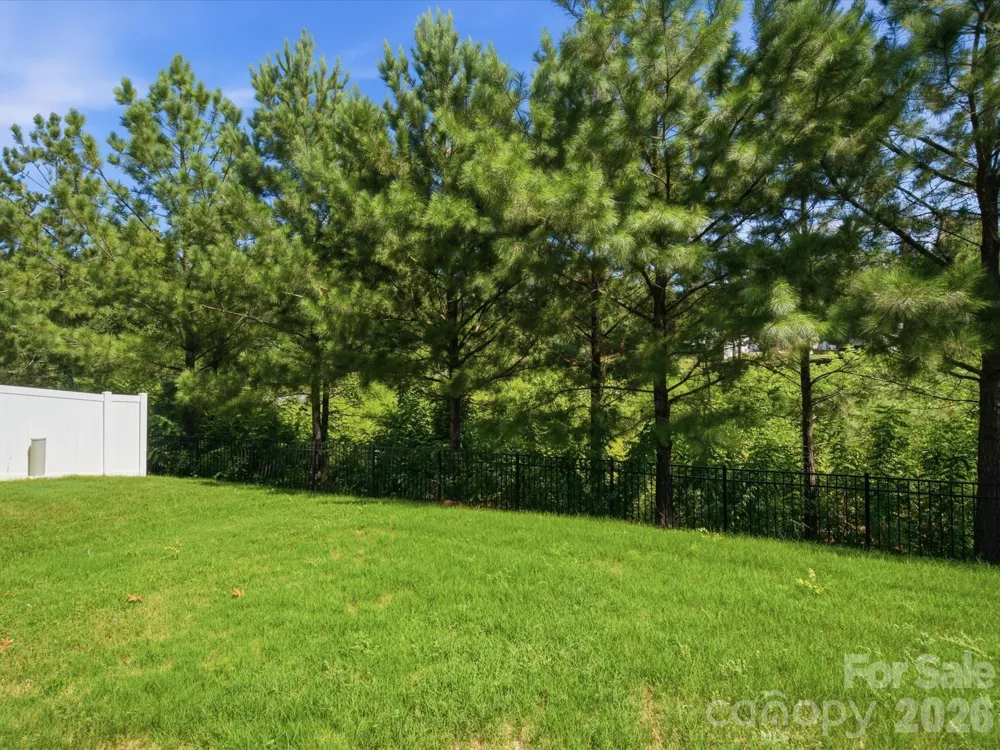 7020 Swamp Chestnut Lane Indian Land, SC 29707