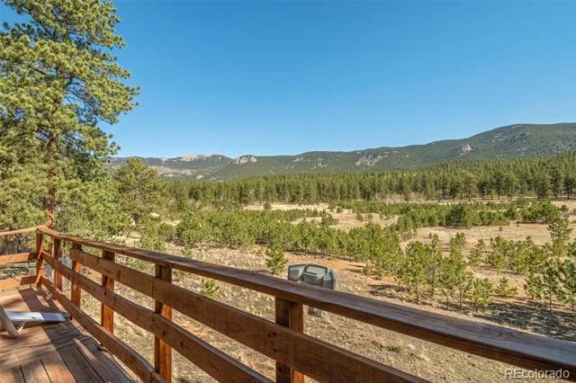 88 Neal Street Bailey, CO 80421