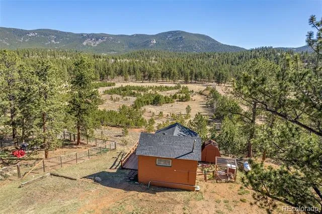 88 Neal Street Bailey, CO 80421