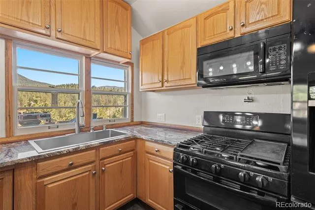 88 Neal Street Bailey, CO 80421