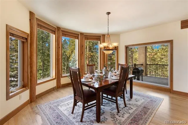 775 Skyline Drive Woodland Park, CO 80863