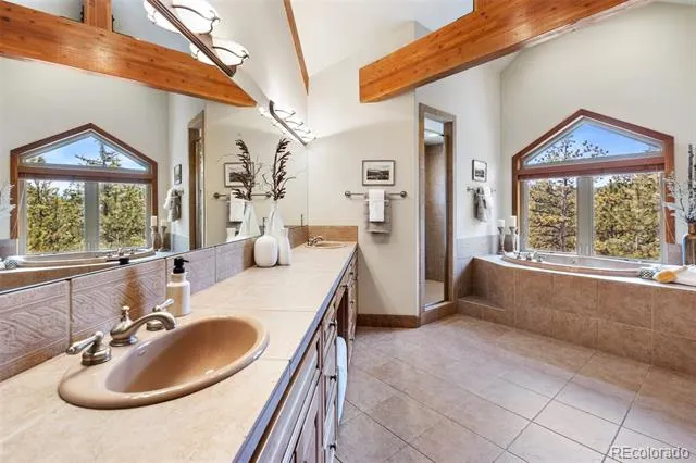 775 Skyline Drive Woodland Park, CO 80863