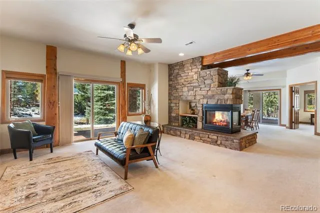 775 Skyline Drive Woodland Park, CO 80863