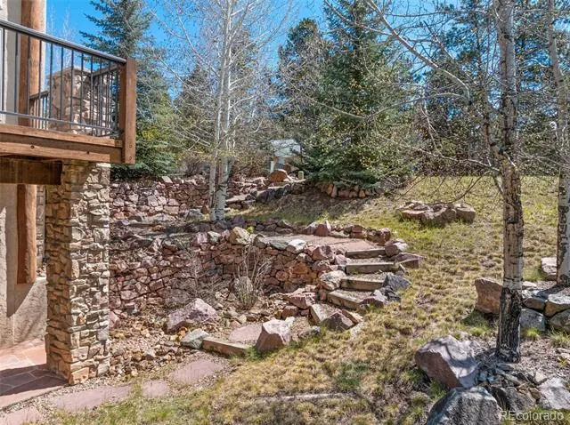 775 Skyline Drive Woodland Park, CO 80863