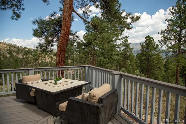 805 Lake Drive South Fork, CO 81154