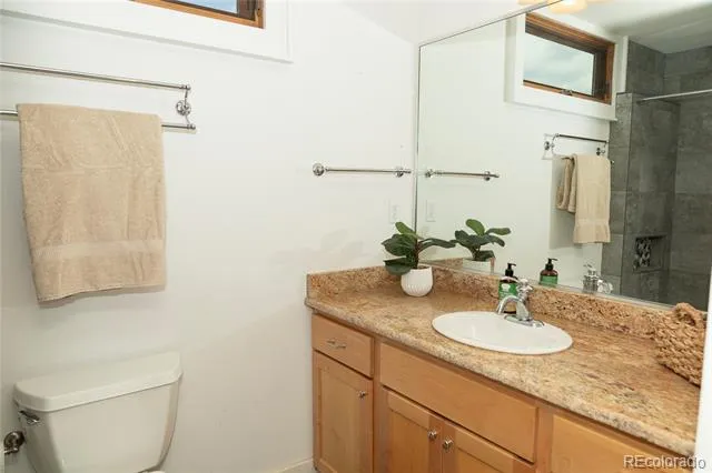 805 Lake Drive South Fork, CO 81154