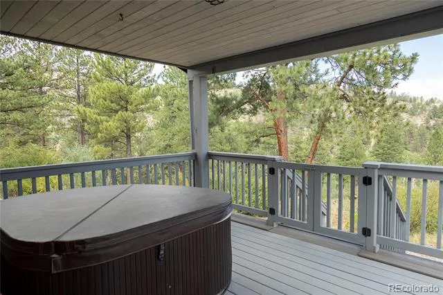 805 Lake Drive South Fork, CO 81154