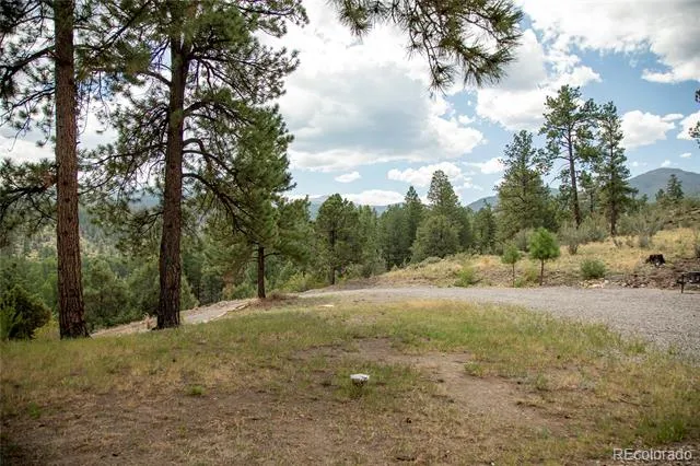 805 Lake Drive South Fork, CO 81154