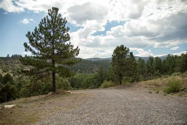 805 Lake Drive South Fork, CO 81154
