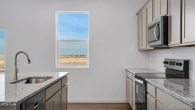 43033 Castle Stuart Street Elizabeth, CO 80107