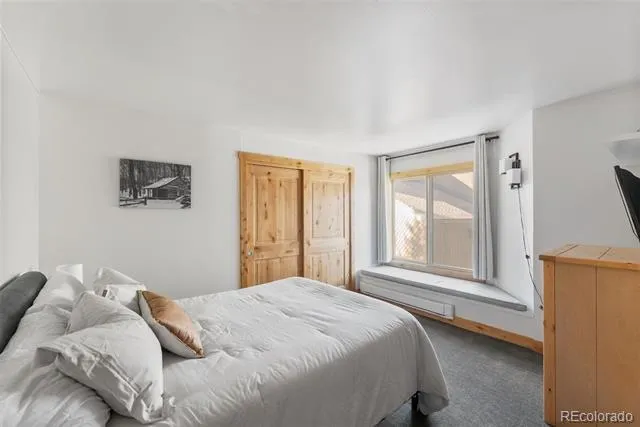 423 Wild Irishman Road #13204 Dillon, CO 80435