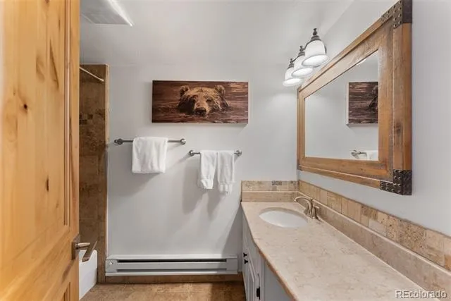 423 Wild Irishman Road #13204 Dillon, CO 80435