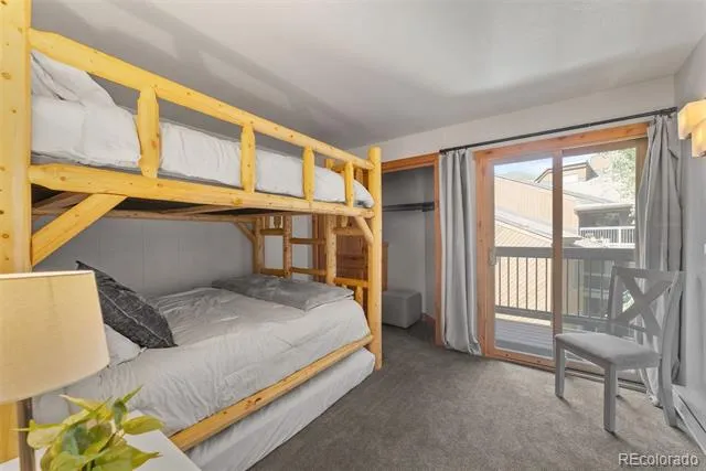 423 Wild Irishman Road #13204 Dillon, CO 80435