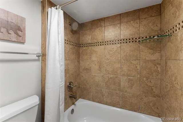 423 Wild Irishman Road #13204 Dillon, CO 80435