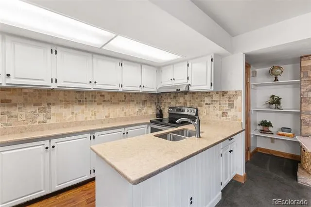 423 Wild Irishman Road #13204 Dillon, CO 80435