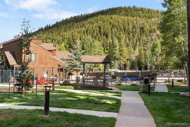 423 Wild Irishman Road #13204 Dillon, CO 80435