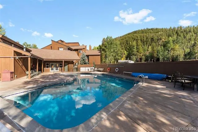 423 Wild Irishman Road #13204 Dillon, CO 80435