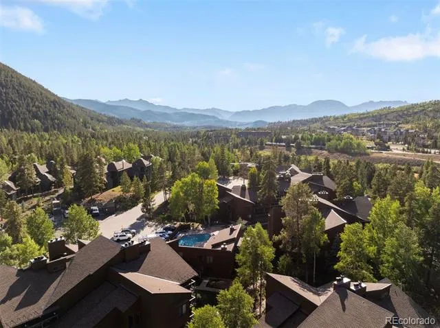 423 Wild Irishman Road #13204 Dillon, CO 80435