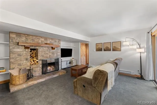 423 Wild Irishman Road #13204 Dillon, CO 80435