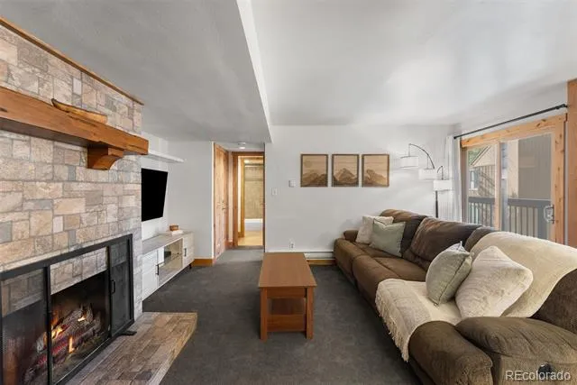 423 Wild Irishman Road #13204 Dillon, CO 80435