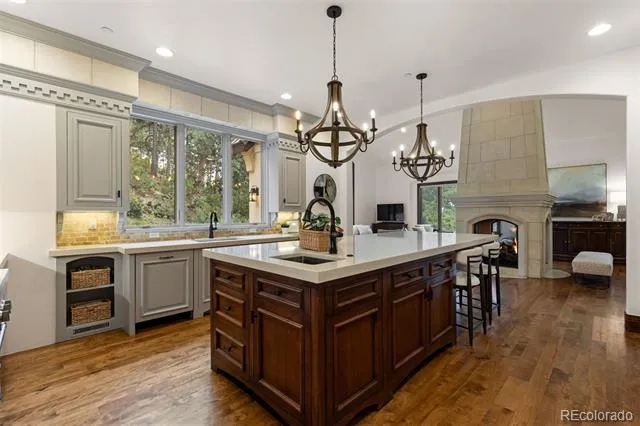 1043 Meteor Place Castle Rock, CO 80108