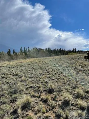 252 Albino Road Jefferson, CO 80456