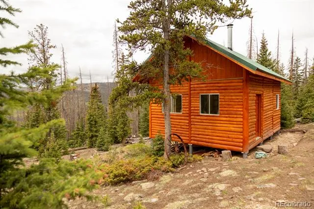 3190 Forest Road 503 Creede, CO 81130