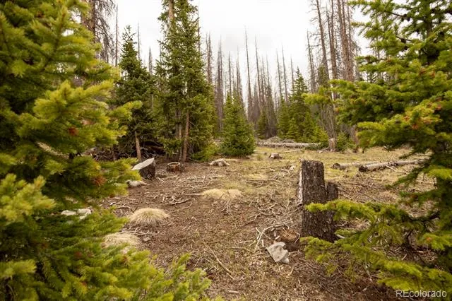 3190 Forest Road 503 Creede, CO 81130
